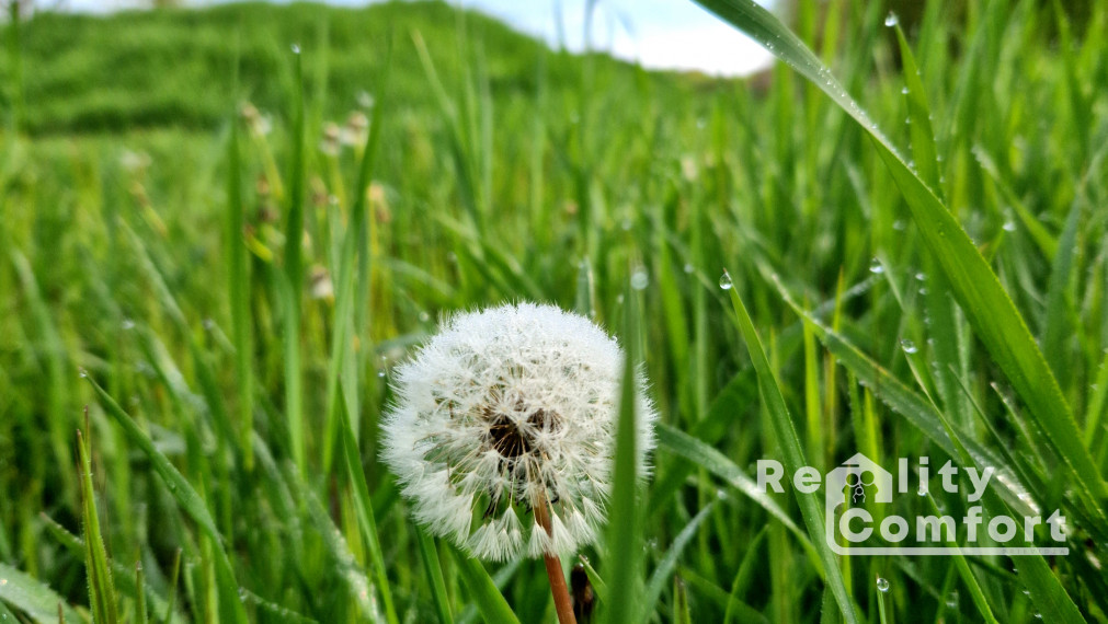 Rodinný dom s veľkým slnečným pozemkom