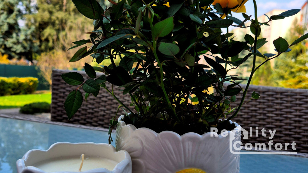 Moderný, elegantný bungalov s krásnou záhradou